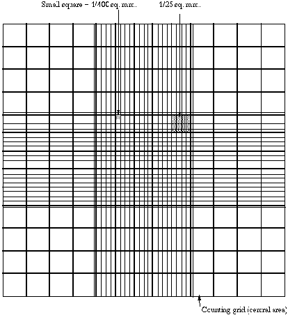 Bright ? Line Counting Chamber